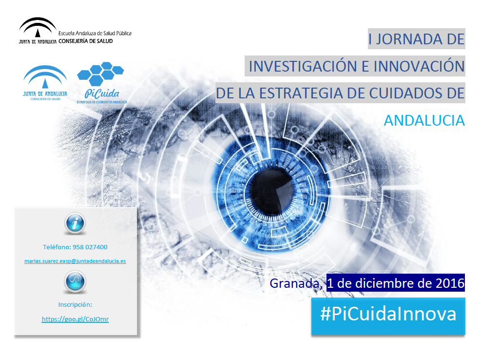 picuidainnova