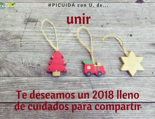 PiCuida, el resumen de la Navidad [26/12/2017]