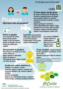 Infografía sobre picaduras