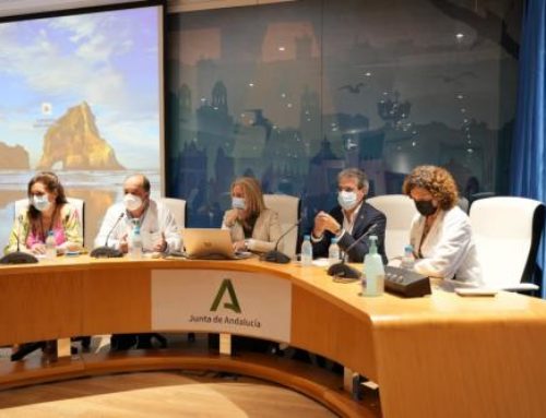 Un centenar de profesionales asisten a la I Jornada de Implantación de Evidencia de Cuidados del Hospital Puerta del Mar