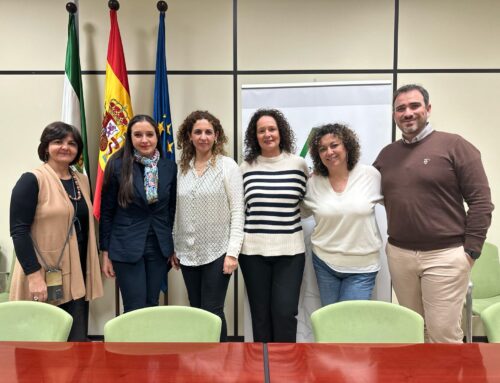 Reunión de la Estrategia de Cuidados de Andalucía con la Asociación Andaluza de Enfermería Familiar y Comunitaria